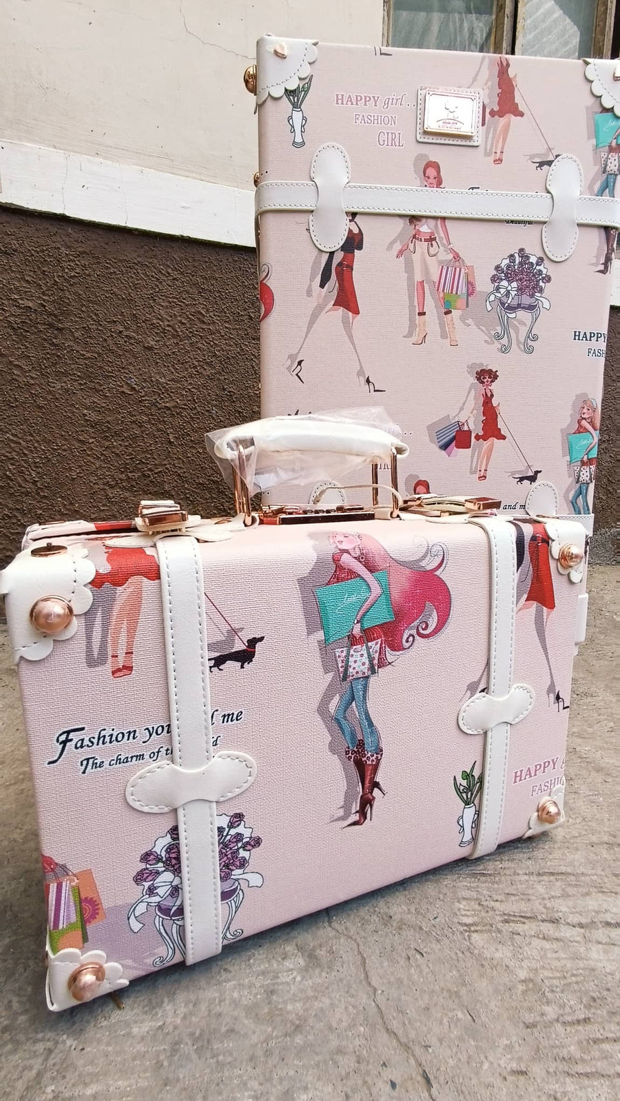Sofia Arc sling luggage and 20 Inches Set